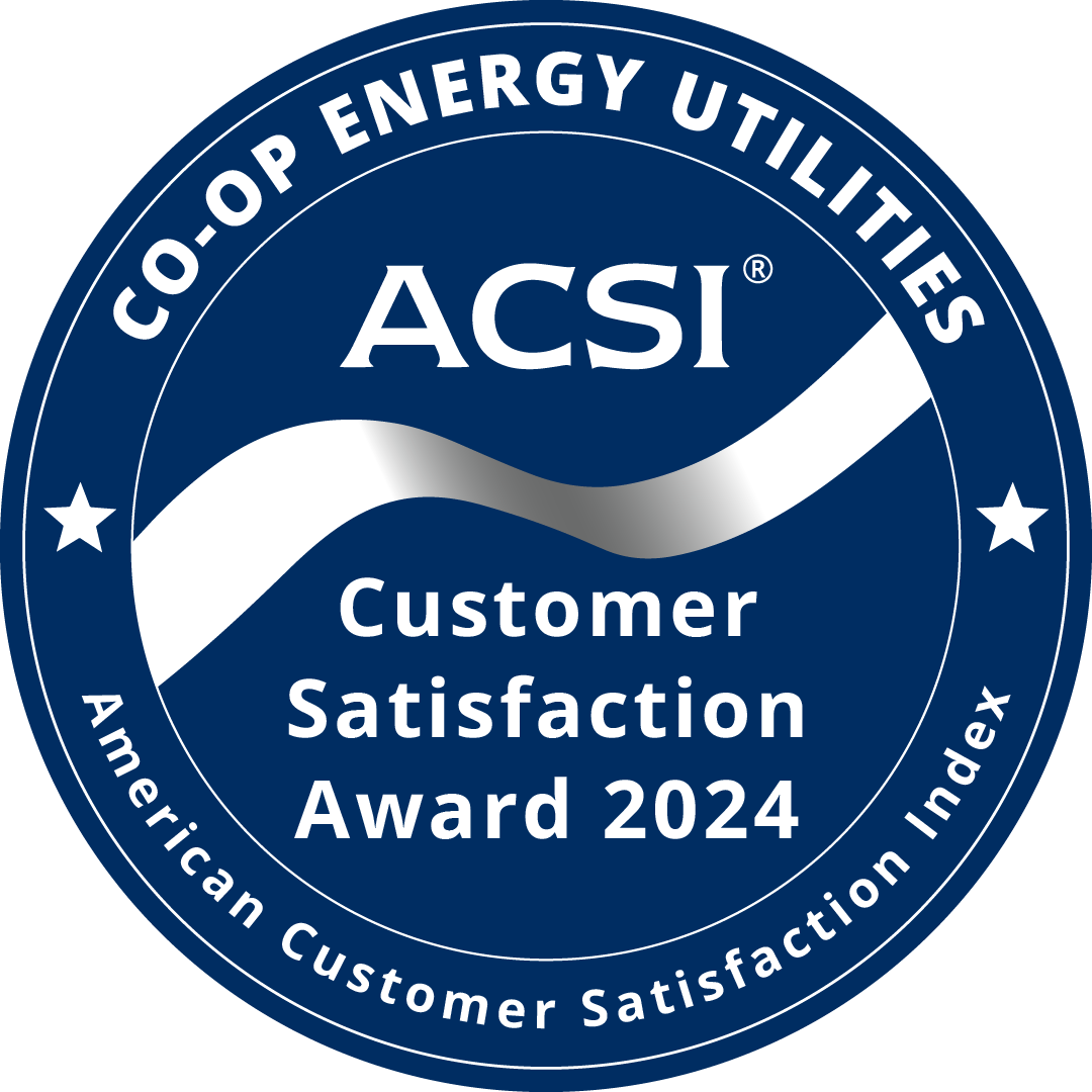 acsi logo