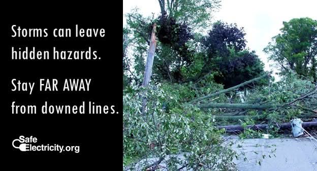 Safe Electricity guidance around storm debris. Watch out for hidden electrical dangers.
