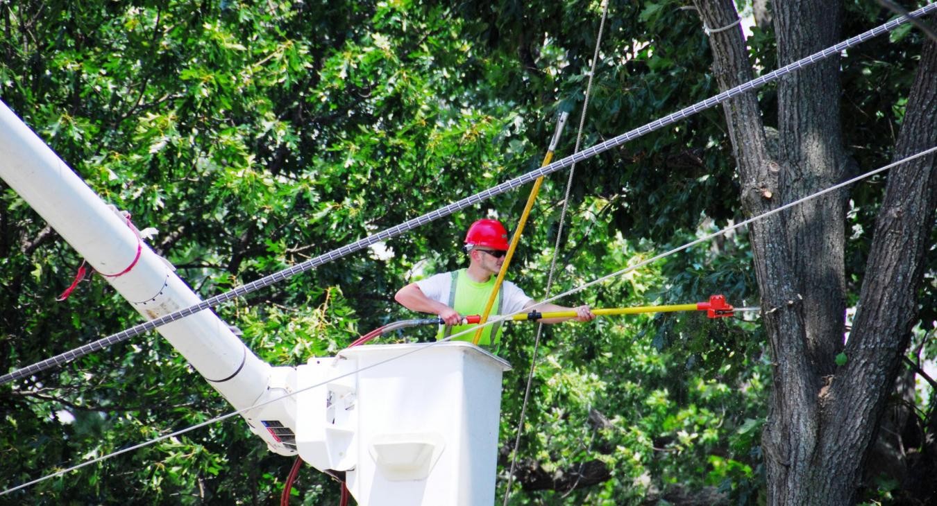 Right of way personnel clearing limbs