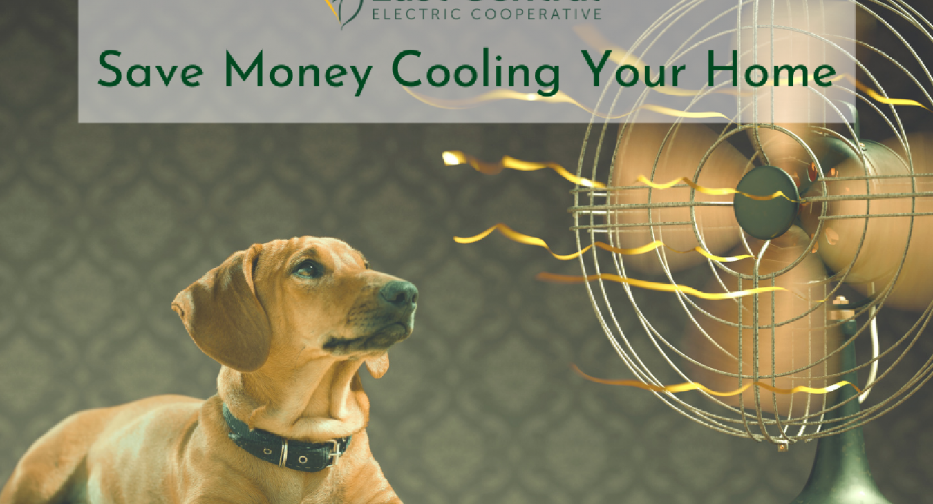 Before the sweltering summer heat arrives, follow these quick tips to keep your home cool and save money on your electric bill.